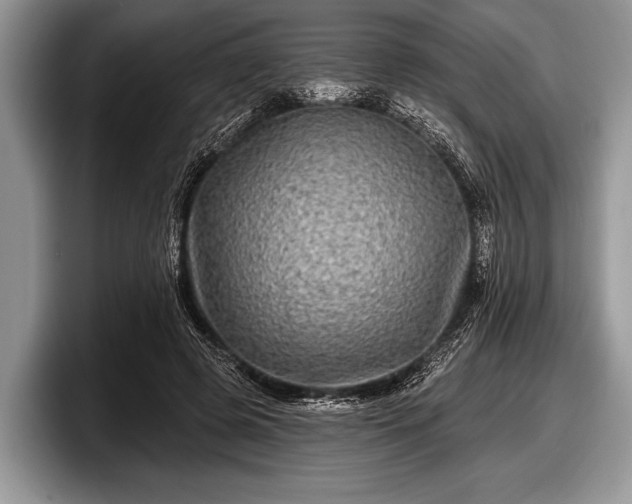 X0000097890545200803211357