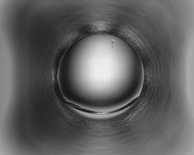 X0000097890546200803211357