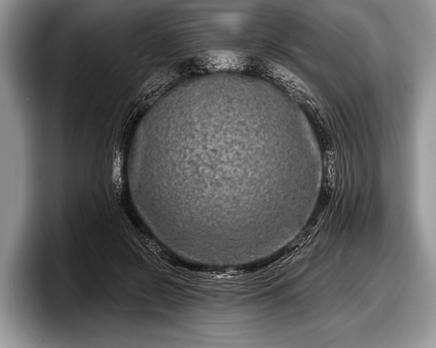 X0000097890550200803211357