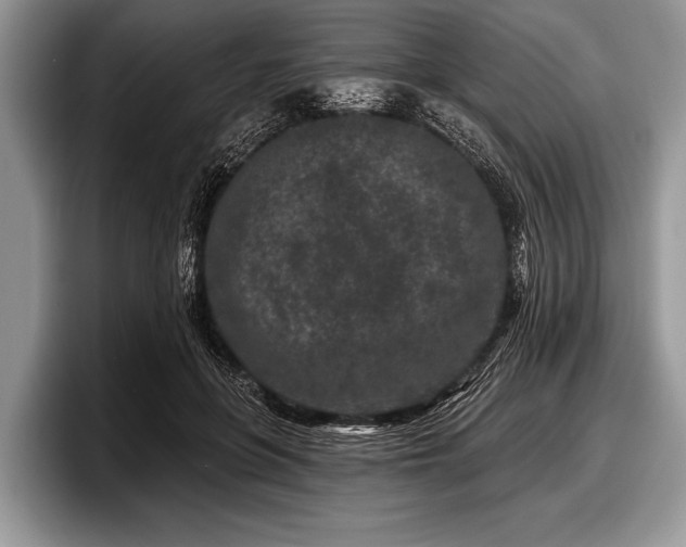 X0000097890551200803211357