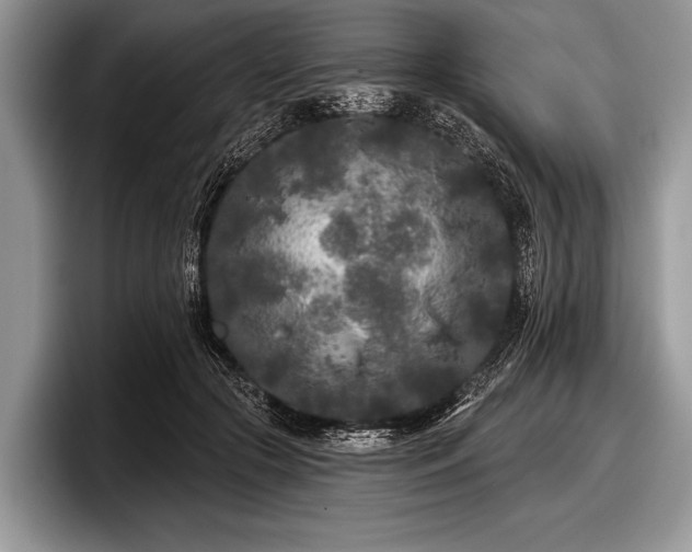 X0000097890553200803211357