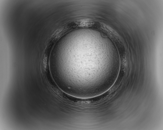 X0000097890554200803211357