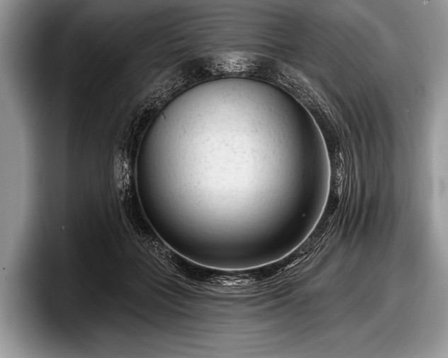 X0000097890555200803211357