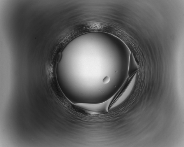 X0000097890556200803211357