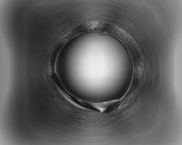 X0000097890558200803211357