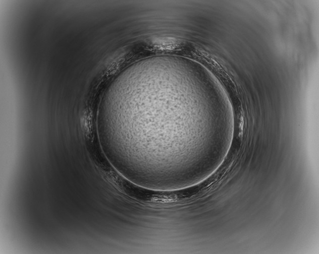 X0000097890559200803211357