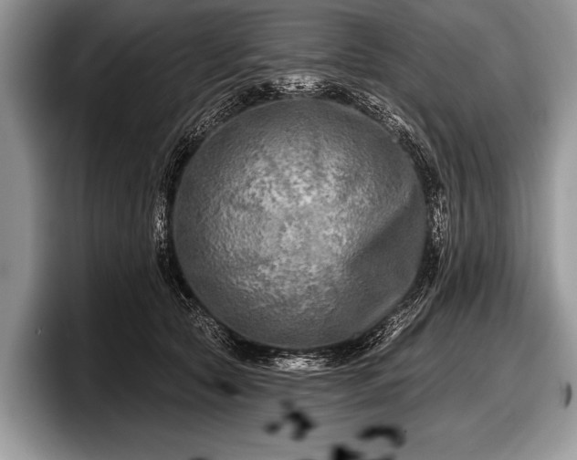 X0000097890561200803211357