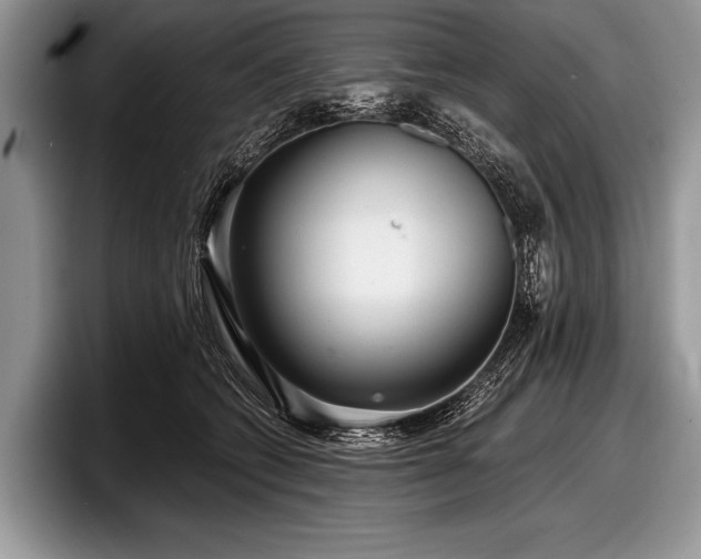 X0000097890562200803211357