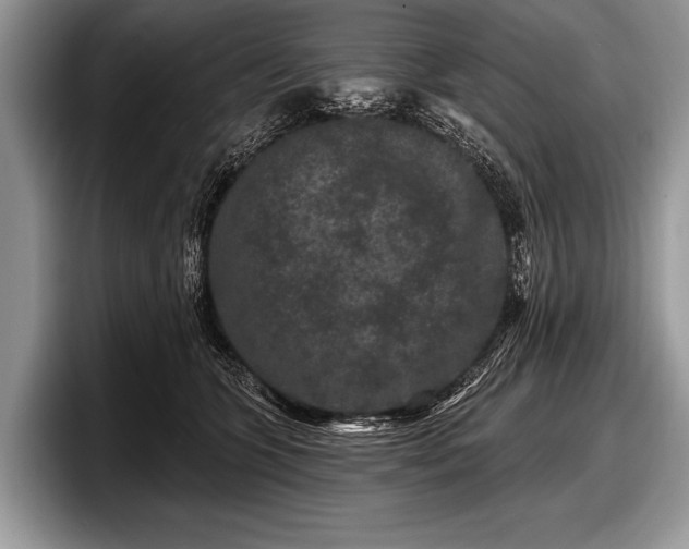 X0000097890563200803211358