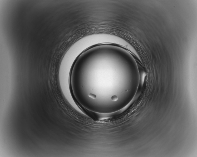 X0000097890566200803211358