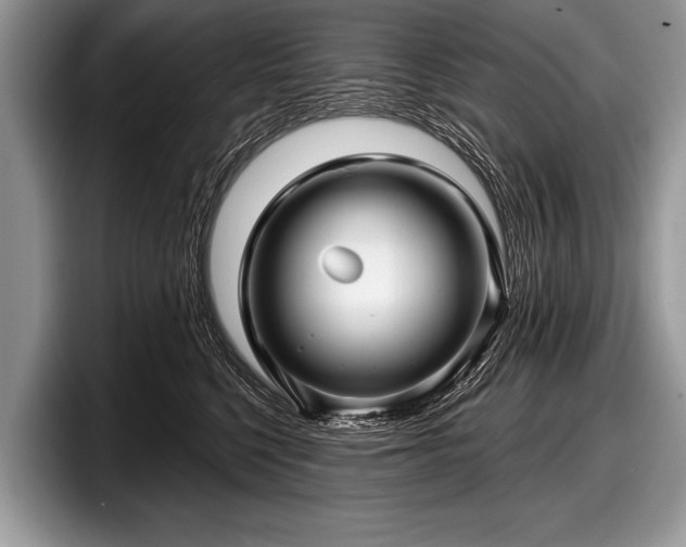 X0000097890568200803211358