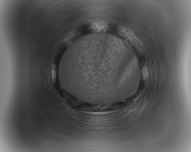 X0000097890570200803211358