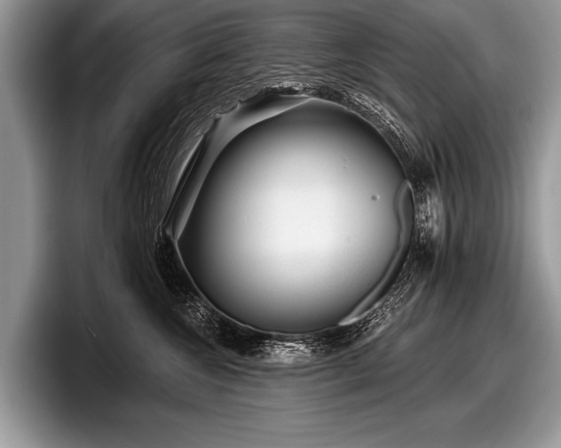 X0000097890572200803211358