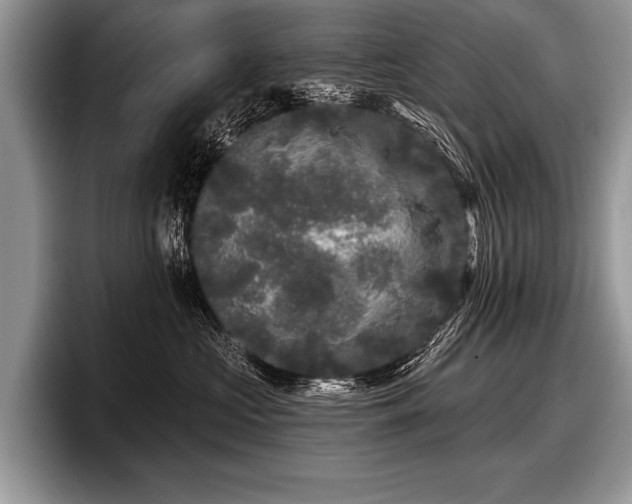 X0000097890573200803211358