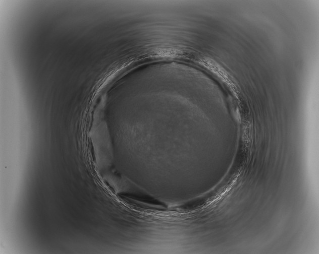 X0000097890577200803211357