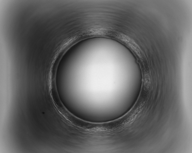 X0000097890578200803211357