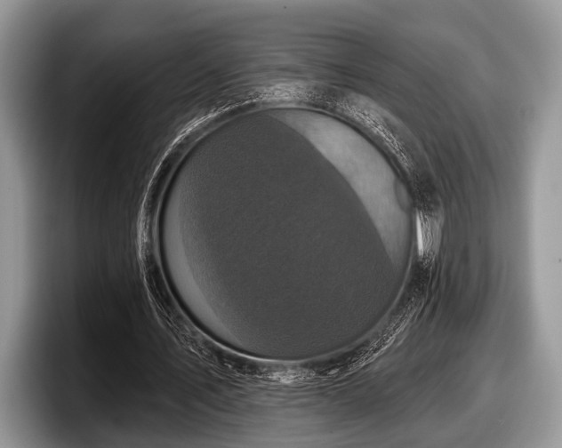 X0000097890579200803211357