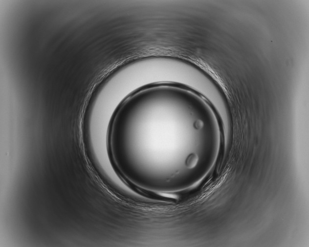 X0000097890581200803211357