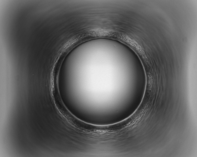 X0000097890582200803211357