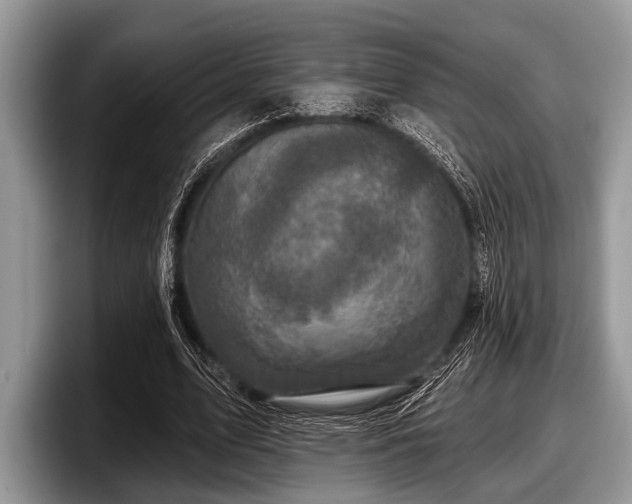 X0000097890583200803211357