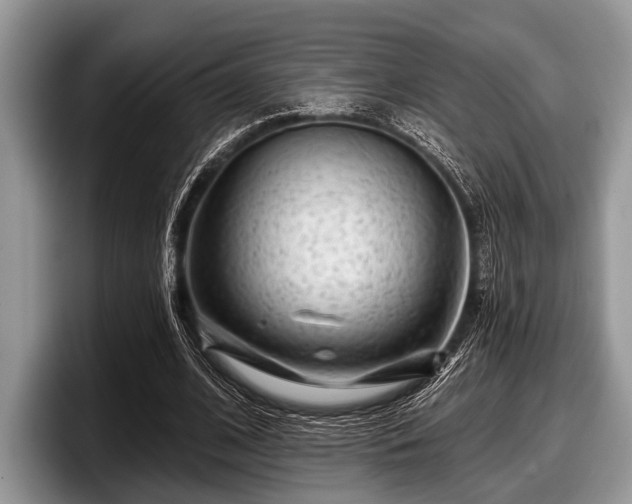 X0000097890584200803211357