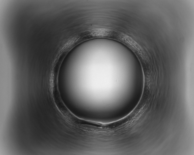 X0000097890586200803211357