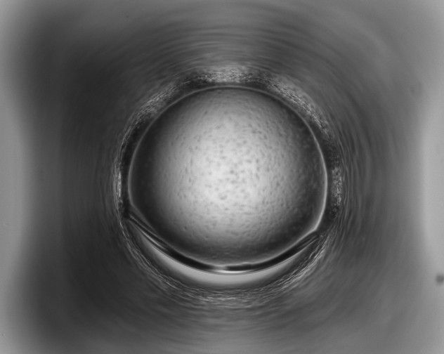 X0000097890589200803211357