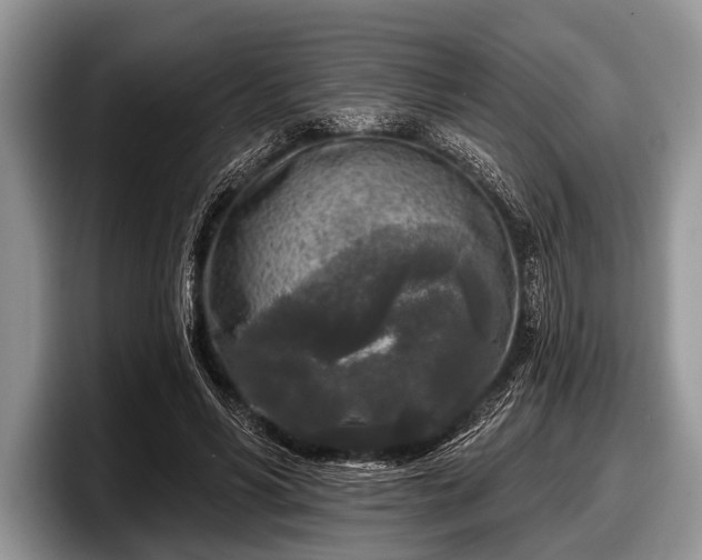 X0000097890590200803211357