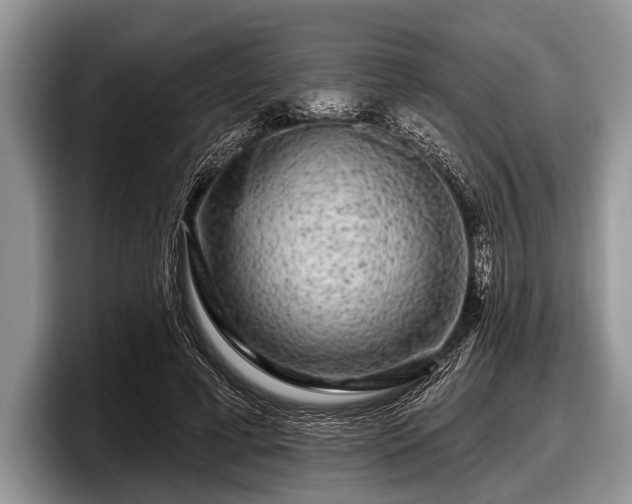 X0000097890593200803211357