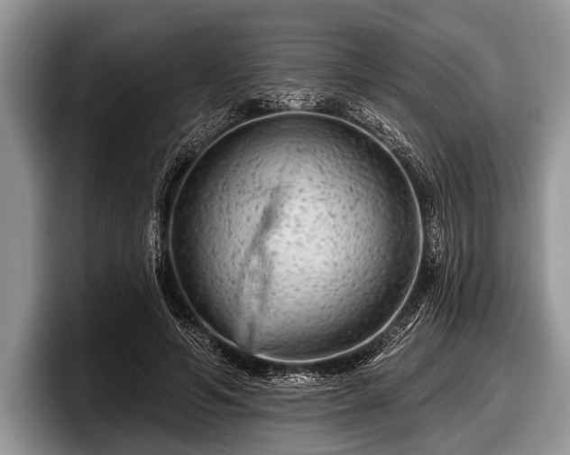 X0000097890594200803211357