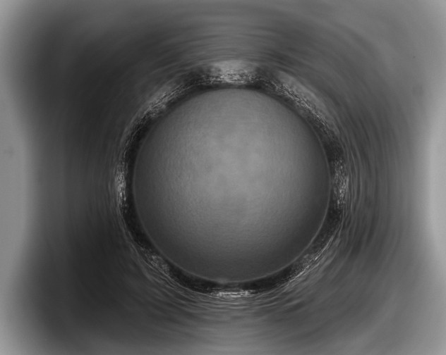 X0000097890595200803211357