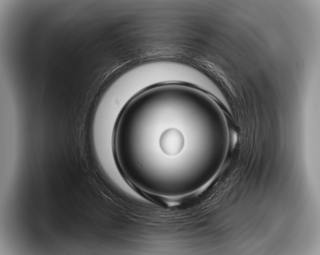 X0000097890596200803211357