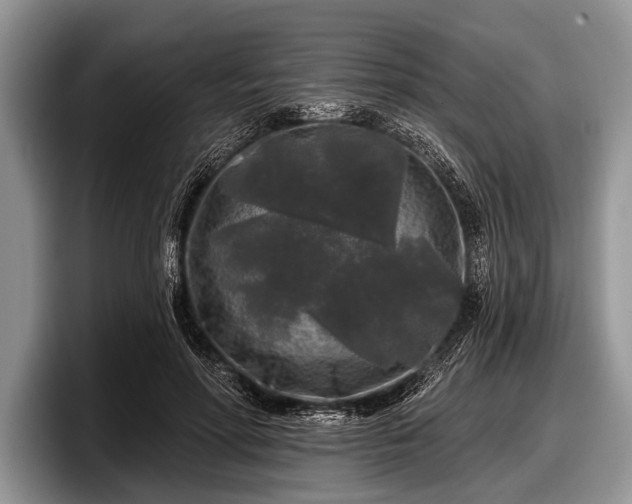 X0000097890598200803211357