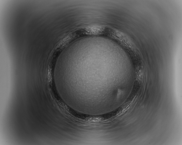 X0000097890599200803211357