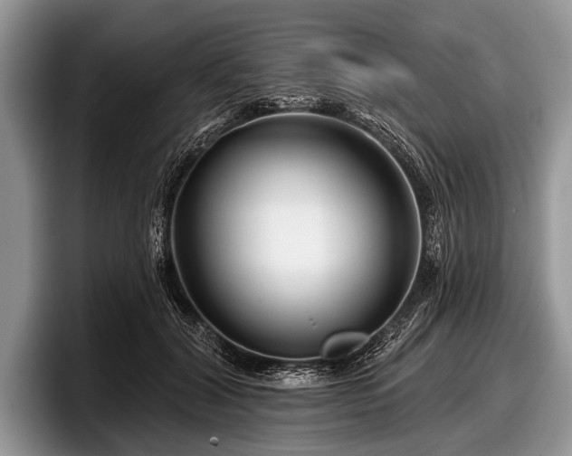 X0000097890604200803211357