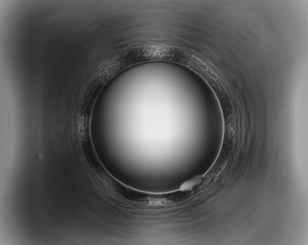 X0000097890605200803211357