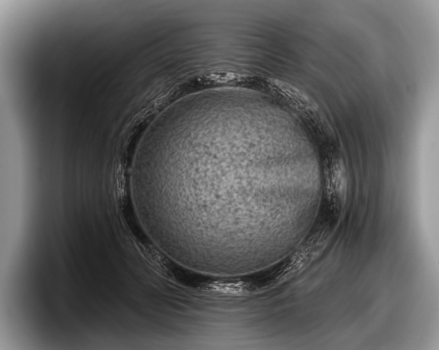 X0000097890606200803211357