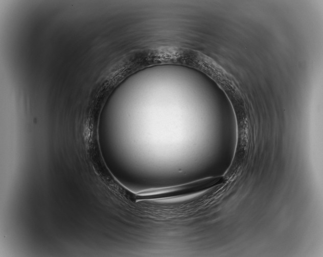 X0000097890608200803211357