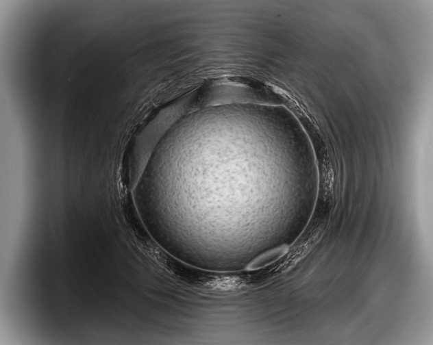 X0000097890609200803211357