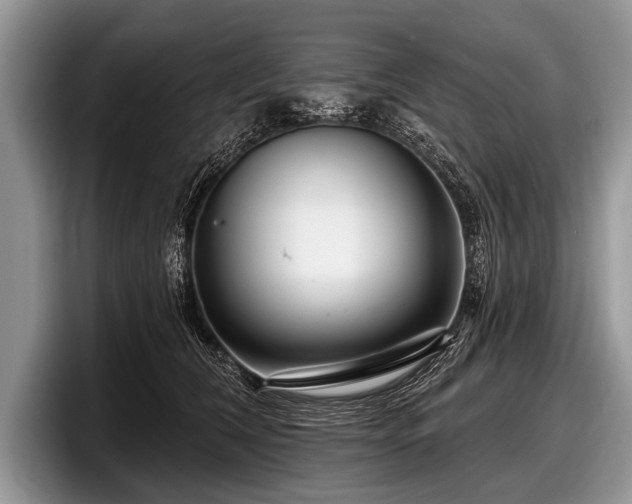 X0000097890612200803211357