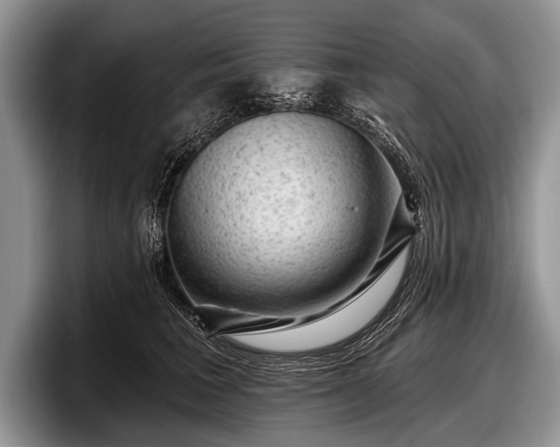 X0000097890613200803211357