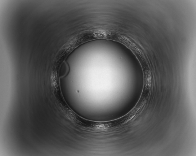 X0000097890616200803211357