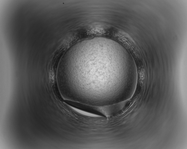 X0000097890617200803211357