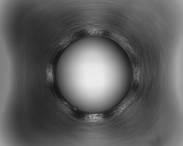 X0000097890622200803211356