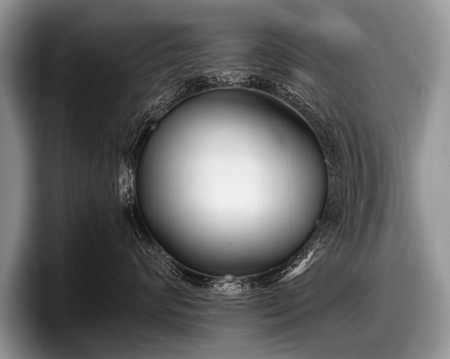 X0000097890624200803211356