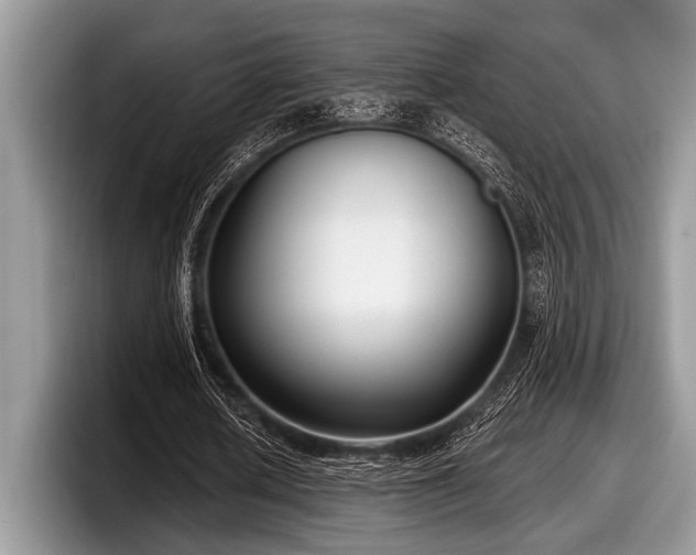 X0000097890626200803211356