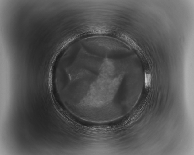 X0000097890627200803211356