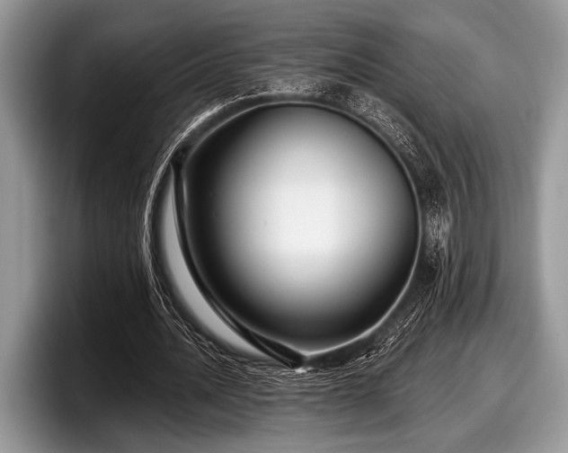 X0000097890628200803211356