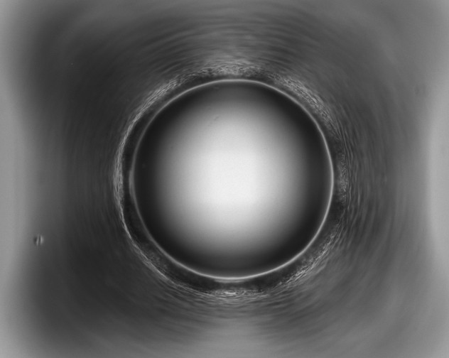 X0000097890630200803211356