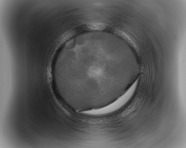 X0000097890634200803211356